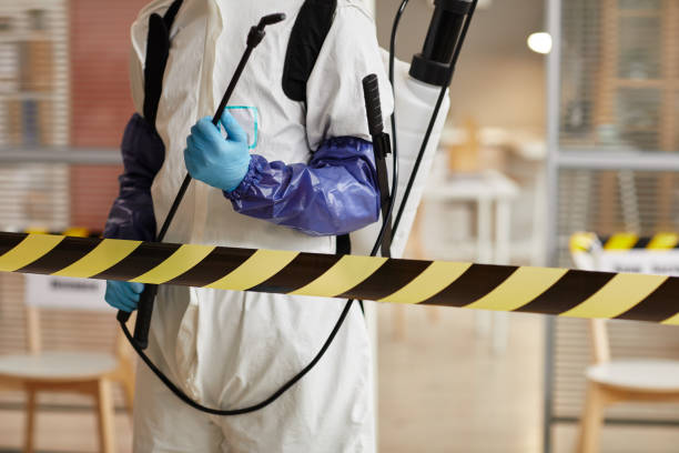 Professional Hoarding Cleanup technician working in Elberta, UT